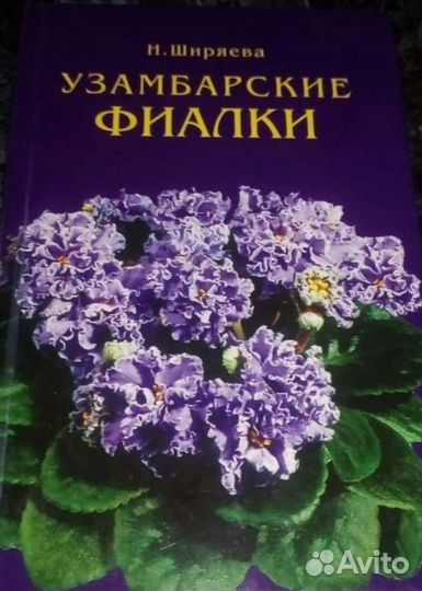 Узамбарские фиалки