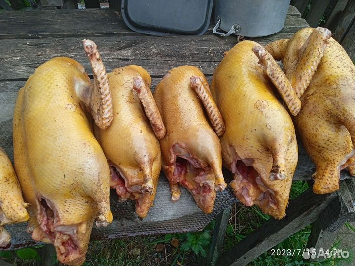 Мясо индоутки, гуся