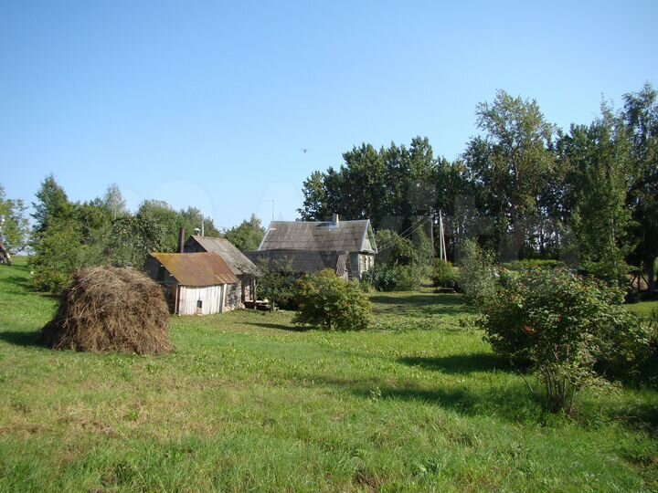 Дом 46,2 м² на участке 50 сот.