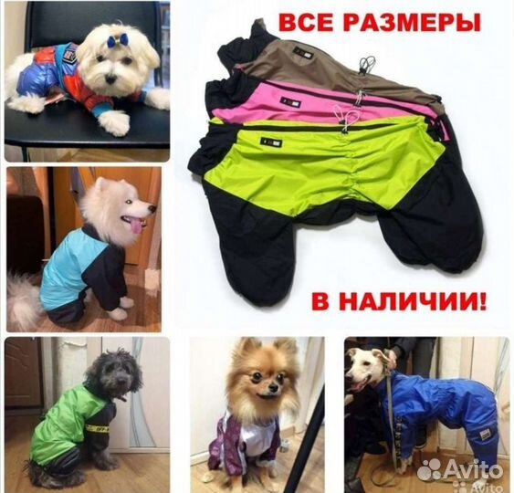 Одежда для собак