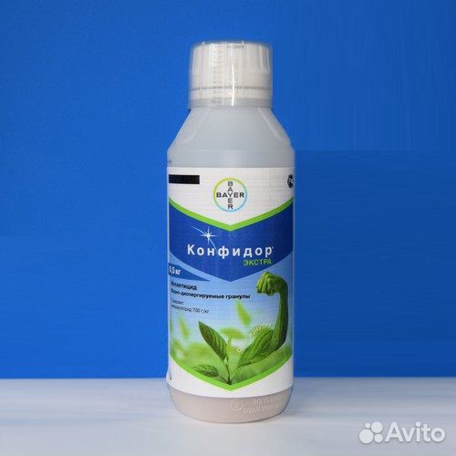 Конфидор