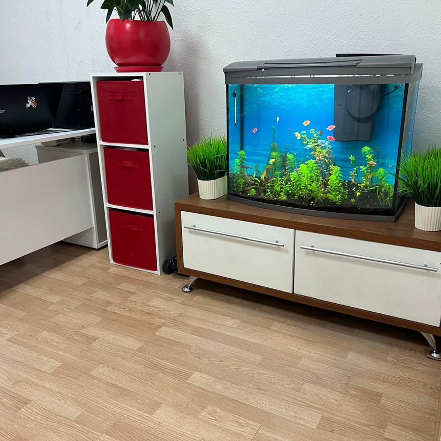 Аквариум Tetra AquaArt Evolution 130 л 77*38*66