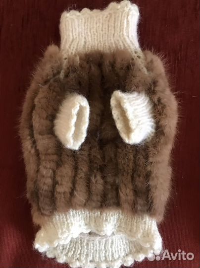 Одежда для собак мелких пород