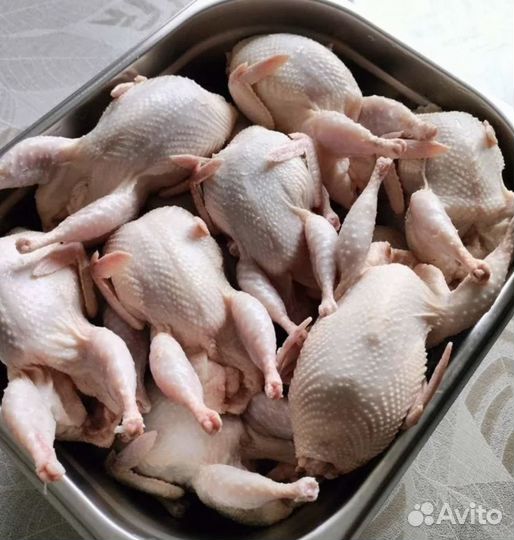 Перепелки тушки в наличии