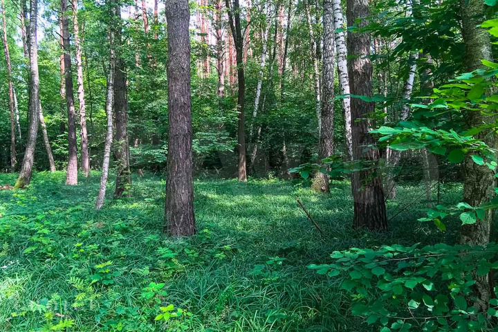 Участок 19 сот. (ИЖС)