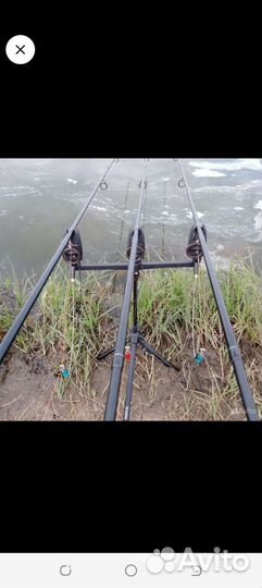 Карповый набор