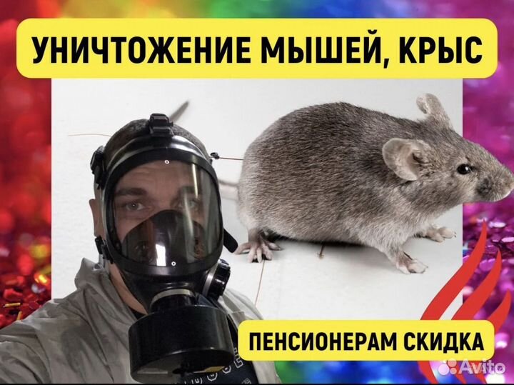 Потравить крыс, мышей, грызунов/Гарантия