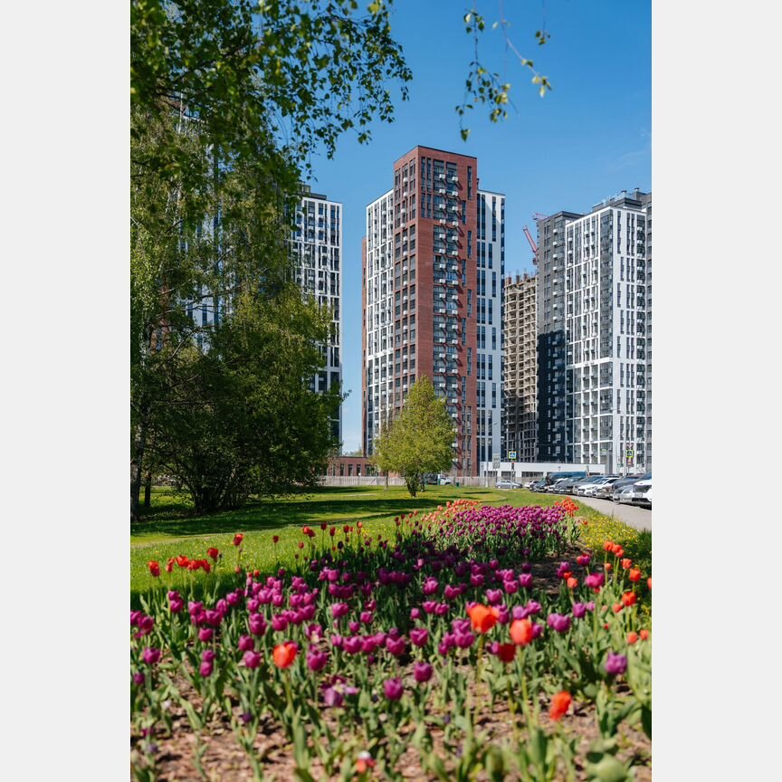 4-к. квартира, 76,9 м², 25/30 эт.