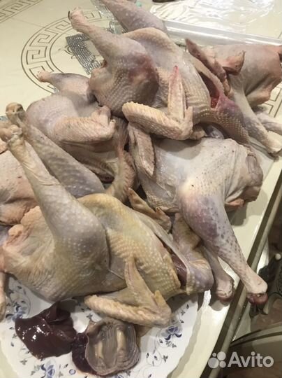 Деревенские курочки на мясо