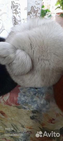 Меховые шапки