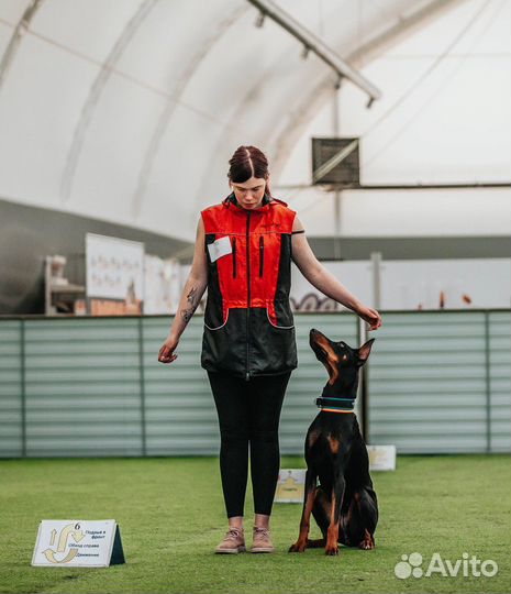 Кинолог Зоопсихолог Передержка собак