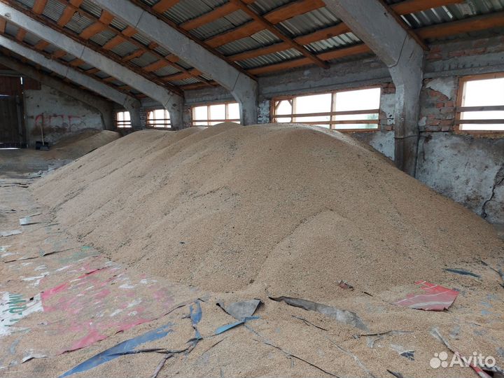 Ферма Кашара