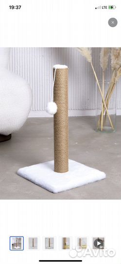 Когтеточка,лоток,лежанка бу