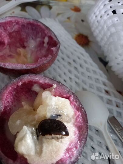 Экзотические семена и саженцы