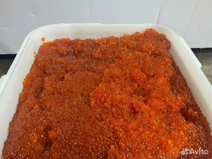 Красная икра оптом