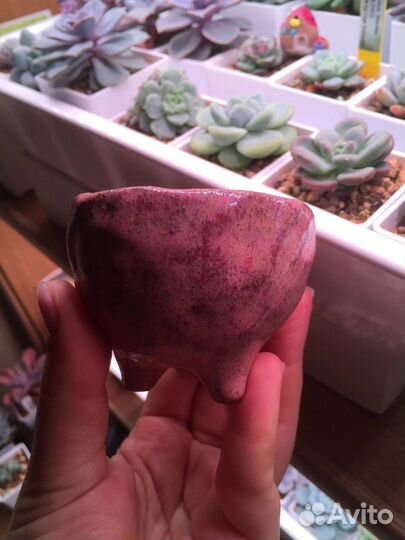 Горшочек от shilarigreen