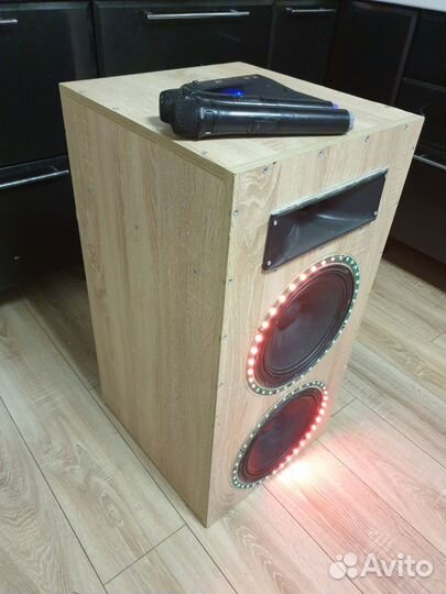 Колонка с караоке на базе Eltronic 20-16