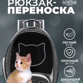 Переноска для кошек