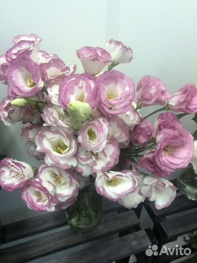 Роза, гвоздика, хризантема