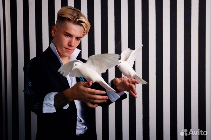 Фокусник Челябинск