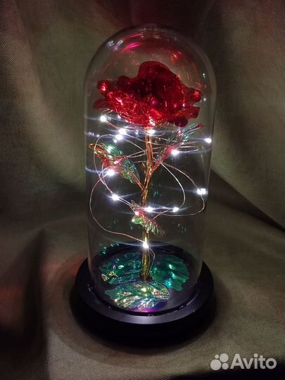 Роза в колбе