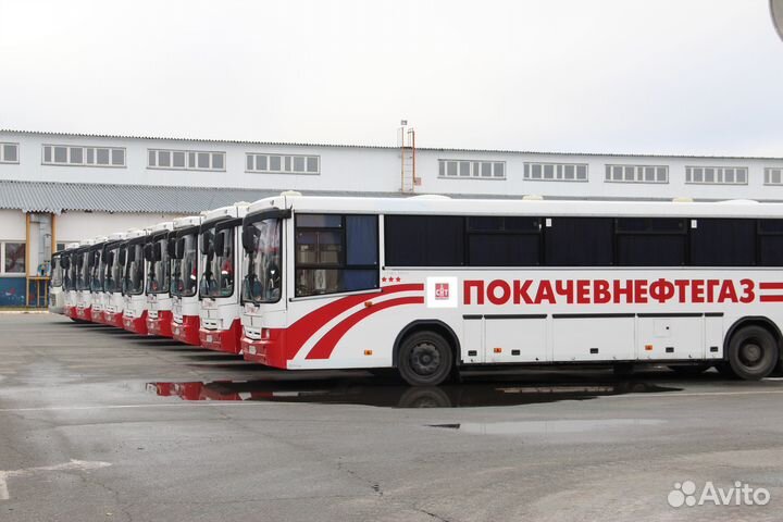 Водитель категории D