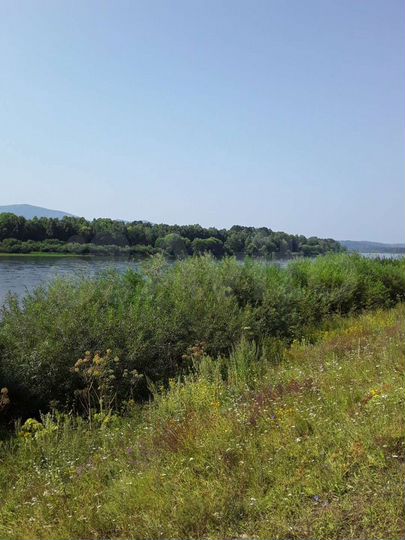 Участок 19 сот. (ИЖС)