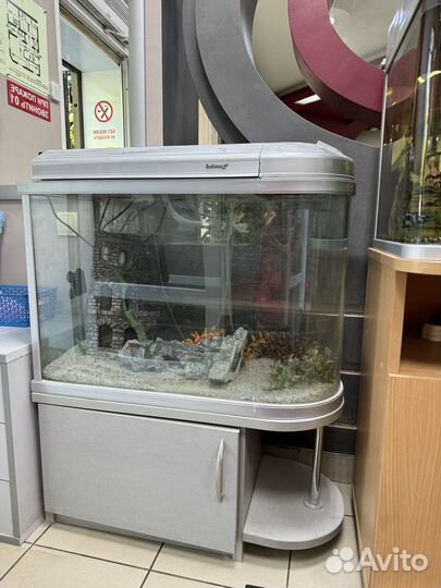 Аквариум с тумбой б/у