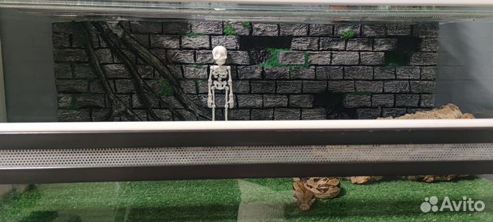Фон для террариума 80*30