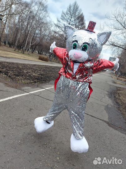 Белый мишка, мишка Теди, Аниматоры на ваш праздник