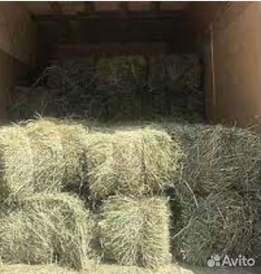 Сено в тюках, солома ячменая