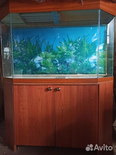 Аквариум с тумбой
