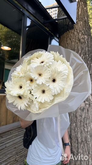 Букеты цветы доставка на 1 сентября