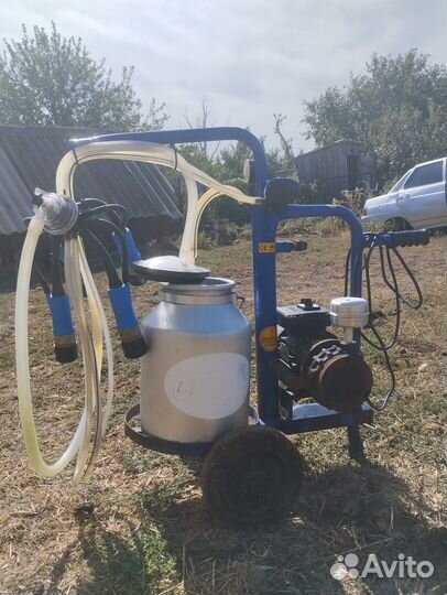 Доильный аппарат