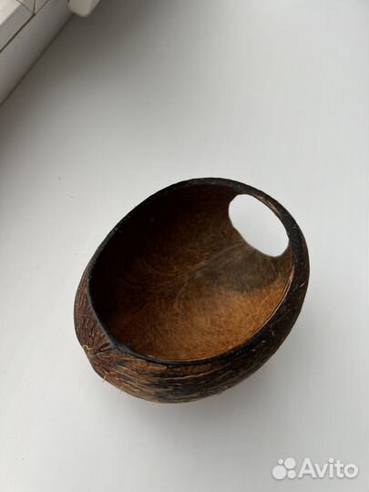 Новое укрытие для рептилий из натурального кокоса