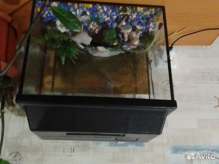 Аквариум со всем нужным