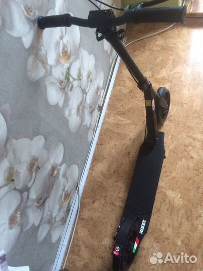 Самокат взрослый