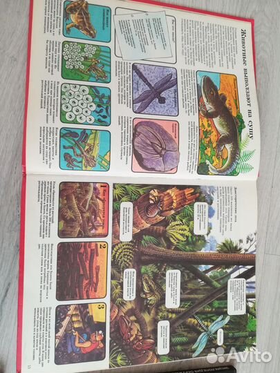 Позновательные инциклопедии для детей пакетом