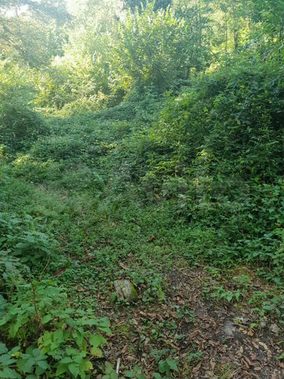 Участок 4,7 сот. (СНТ, ДНП)