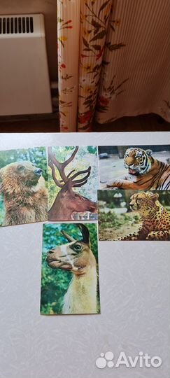 Открытки СССР