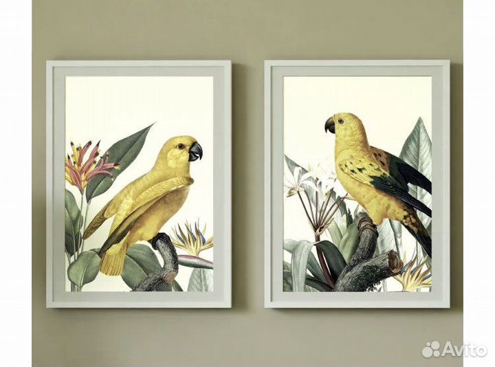 Набор постеров 