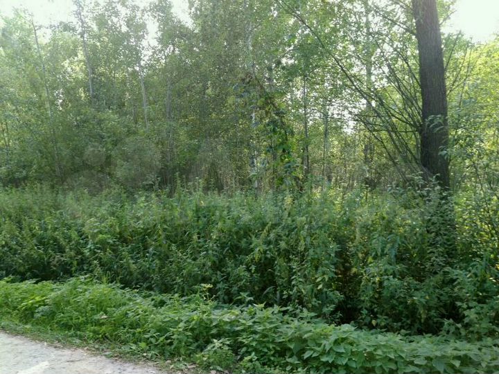 Участок 20 сот. (СНТ, ДНП)