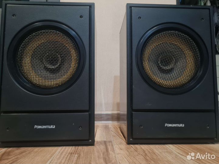 Акустические колонки Романтика 10ас 207