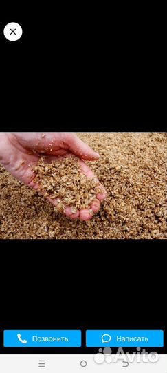 Пивная дробина, Барда