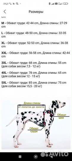 Дождевик для маленьких и средних парод
