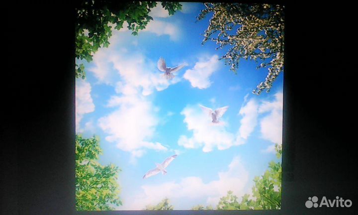 Натяжные потолки любой сложности. От завода произв