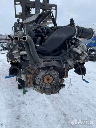 Двигатель Audi A6 C5 (S6,RS6) (1997 - 2005) 2.4 BD