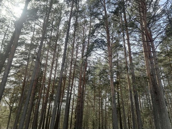 Дом 85,3 м² на участке 30 сот.