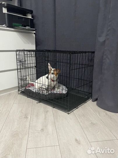 Клетка с 1ой дверцей размером 77см/54см/48см