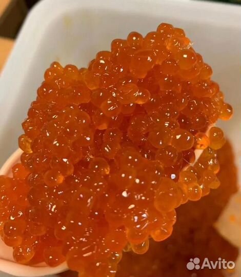 Красная икра оптом